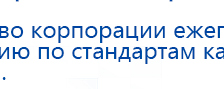 Пояс электрод купить в Улан-Удэ, Выносные электроды купить в Улан-Удэ, Дэнас официальный сайт denasdoctor.ru